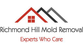 richmond-hill-mold-removal-logo